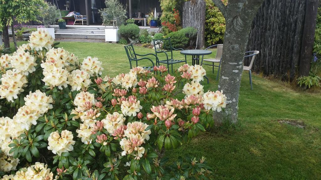 تي أناو Alpine Rock B&B المظهر الخارجي الصورة